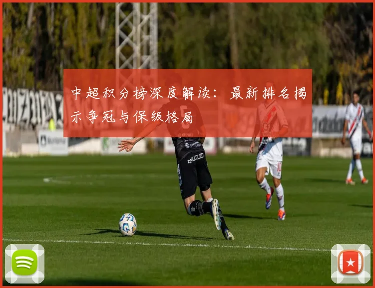 中超积分榜深度解读:最新排名揭示争冠与保级格局