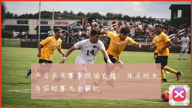 今日乒乓赛事现场直播:焦点对决与实时赛况全解析