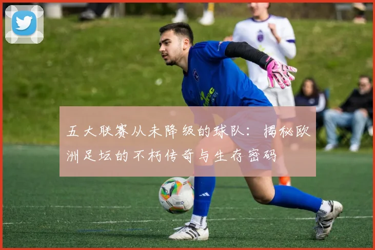 五大联赛从未降级的球队：揭秘欧洲足坛的不朽传奇与生存密码