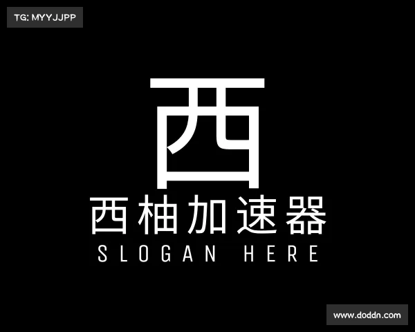 了解西柚加速器